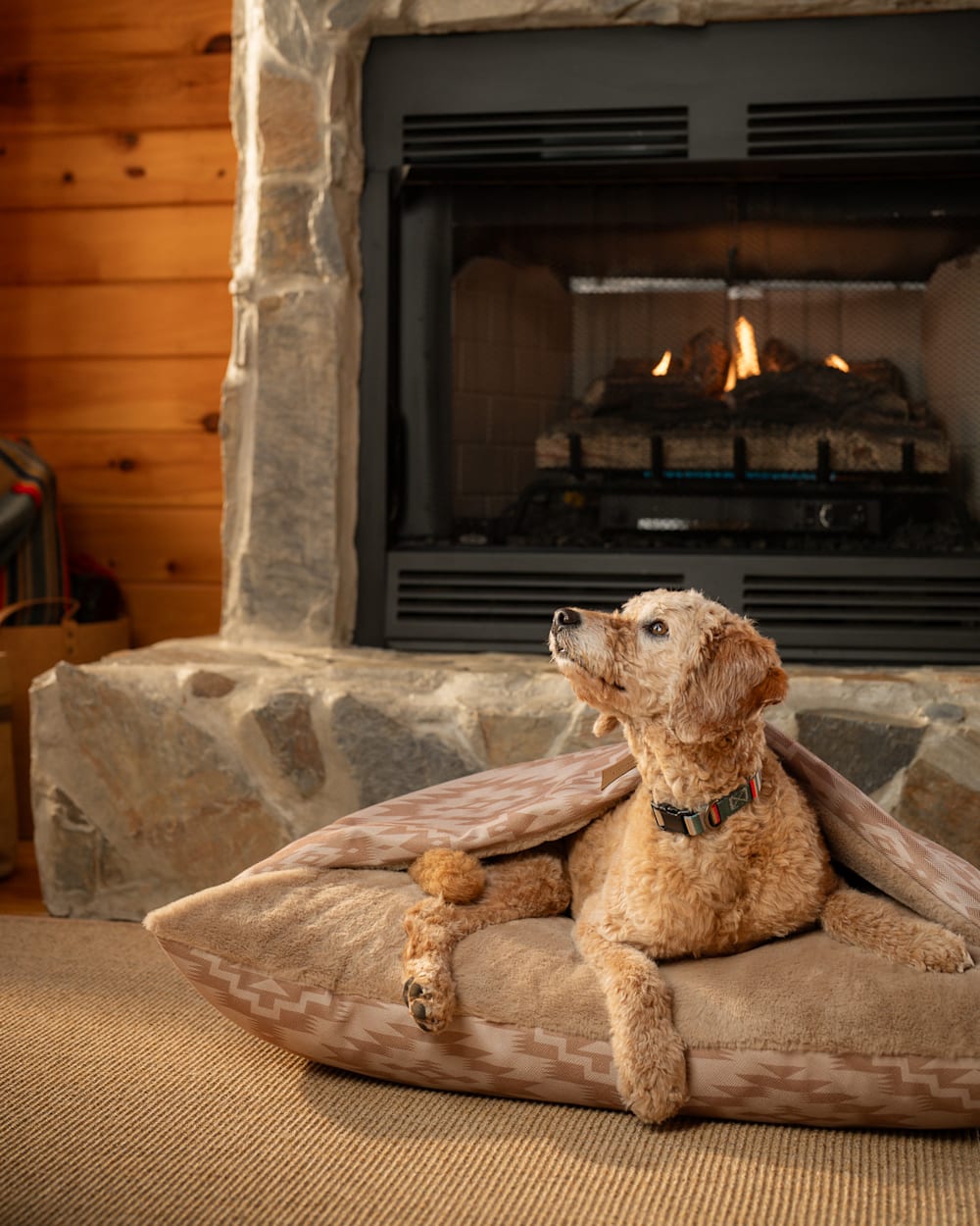 PENDLETON GINGER MESILLA BURROW PET BED