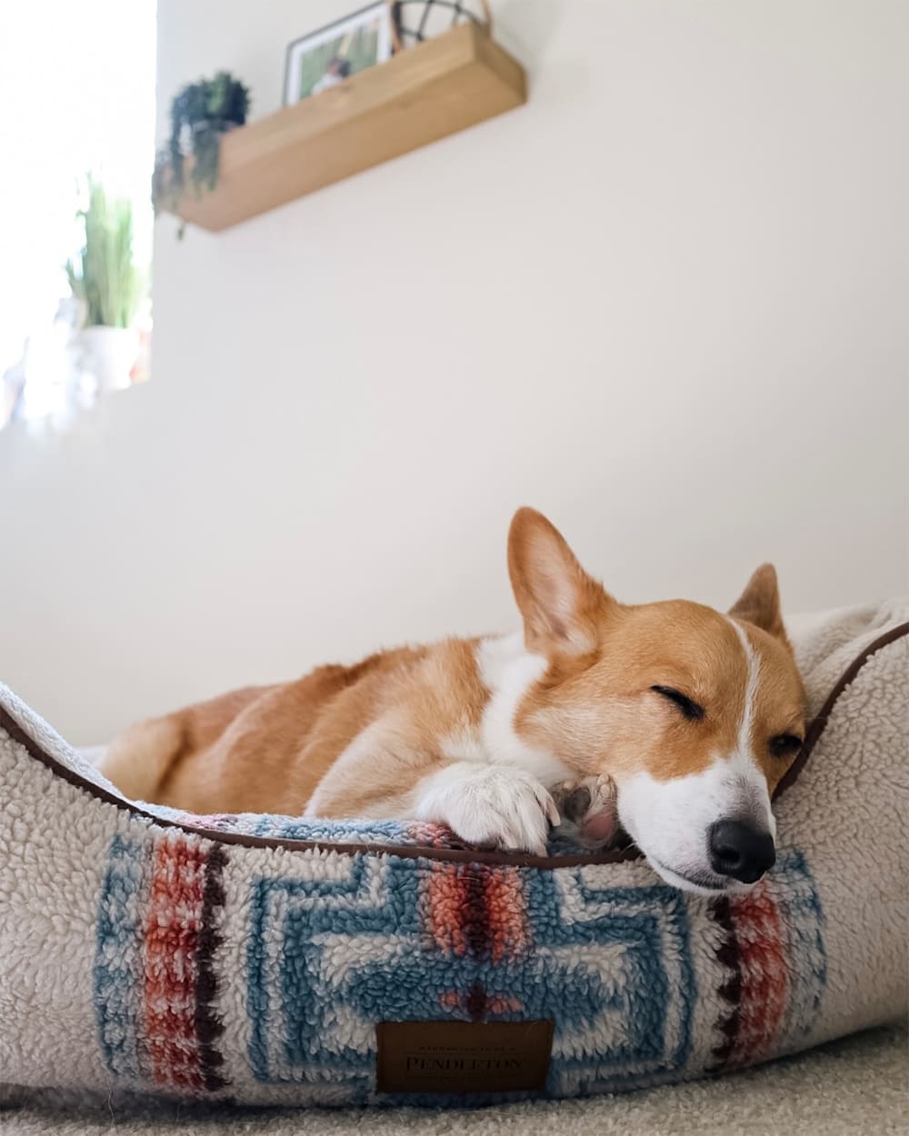PENDLETON HARDING PET BED - KUDDLER