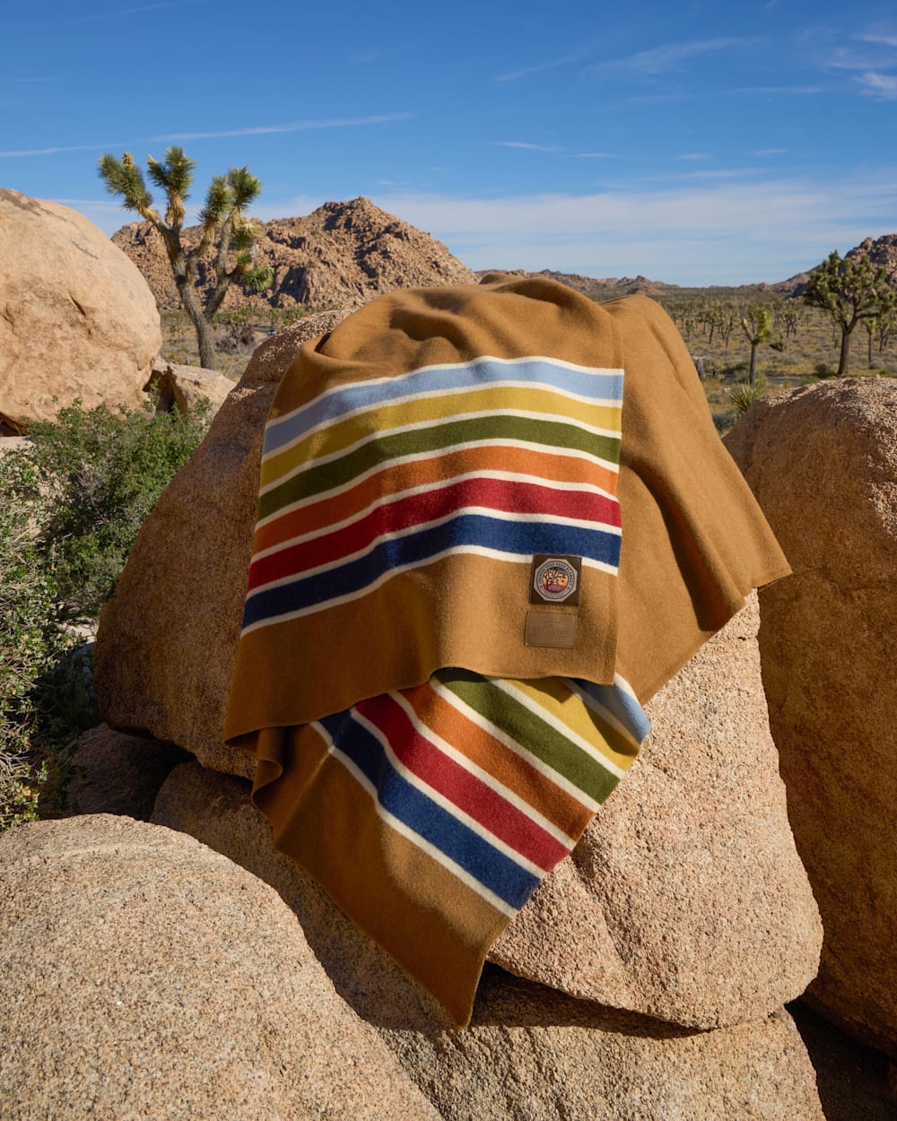 PENDLETON JOSHUA TREE NATIONAL PARK BLANKET