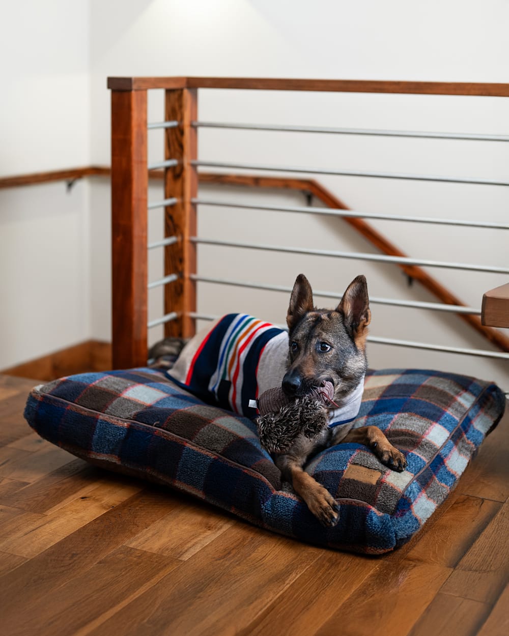 PENDLETON MOUNTAIN PLAID PET BED - NAPPER